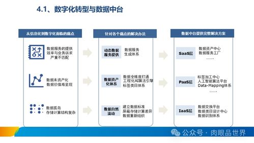 xx集團數據治理體系建設方案 