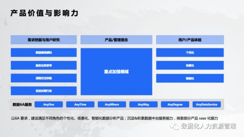 數據處理服務 人力資源管理實踐的基石與突破
